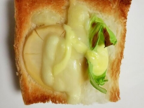 ☆たけのこ☆春キャベツのチーズマヨトースト